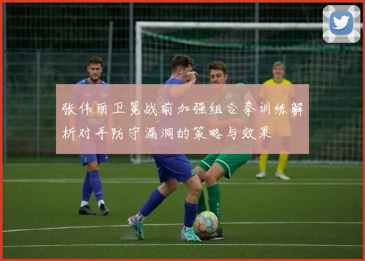 张伟丽卫冕战前加强组合拳训练解析对手防守漏洞的策略与效果